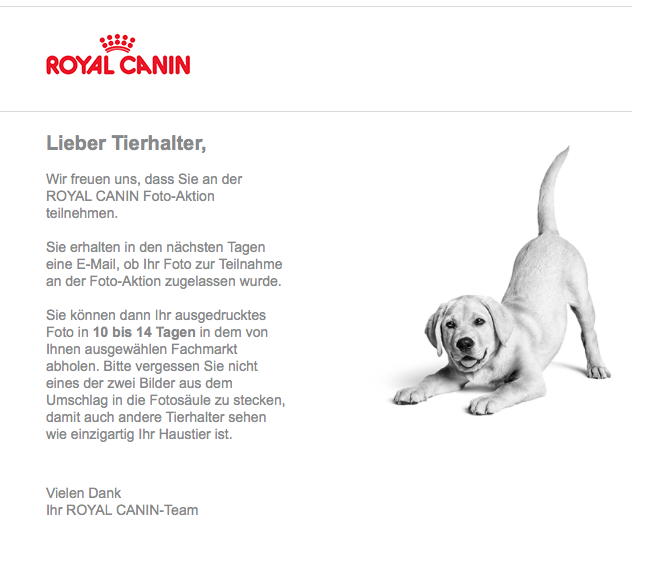 Royal Canin Gewinnspiel - Teilnahme