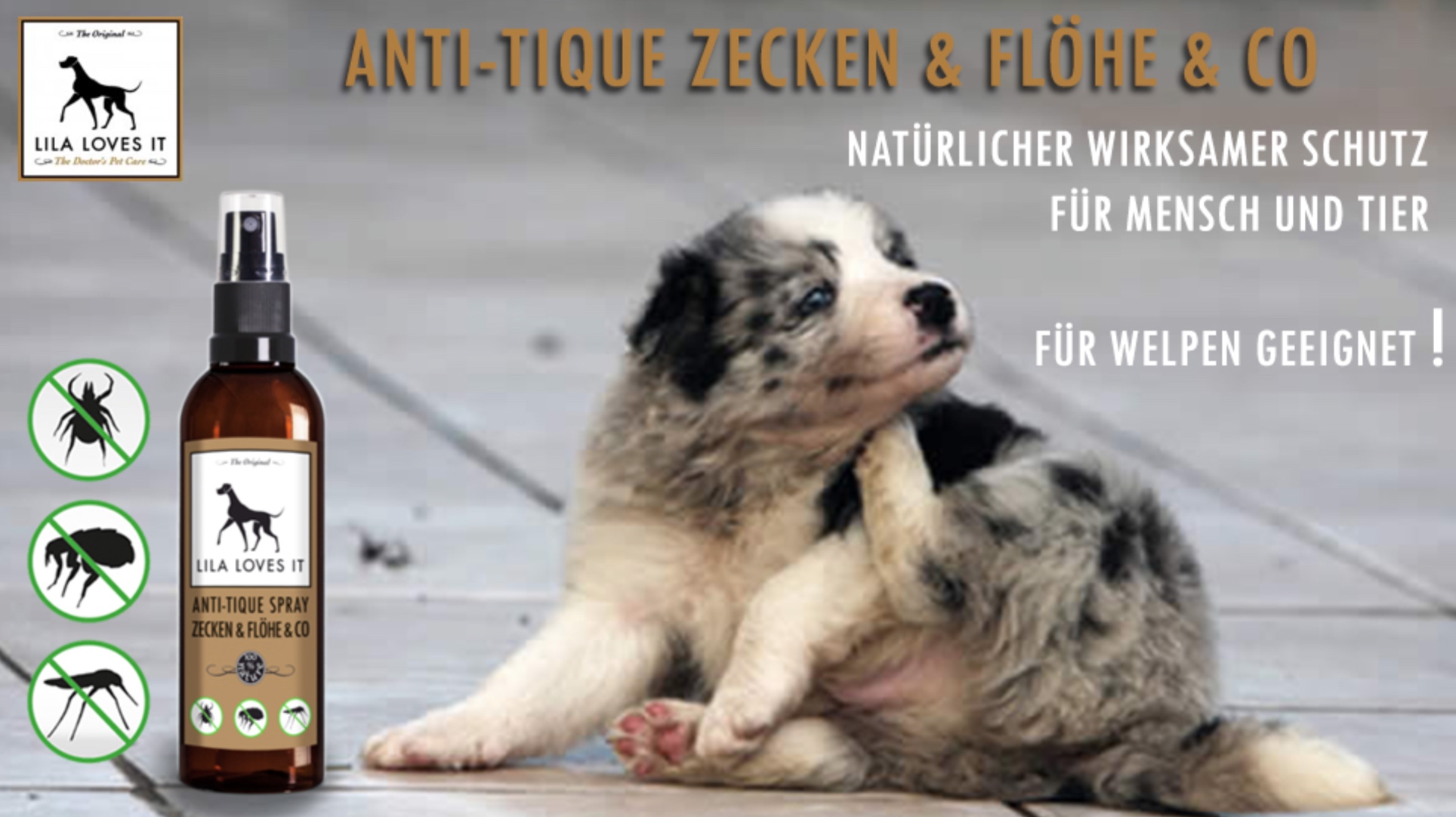 antitique