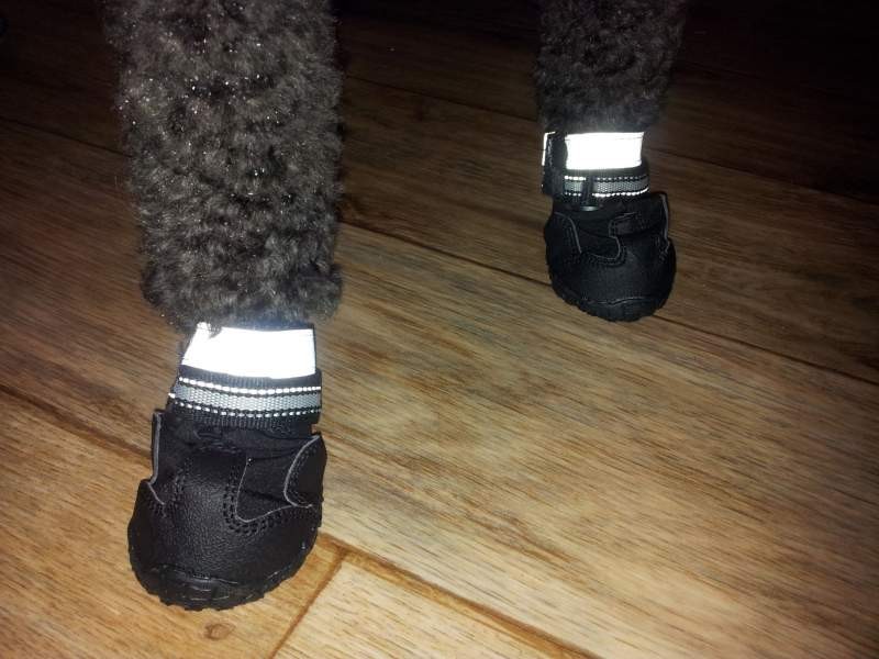 hundschuhe