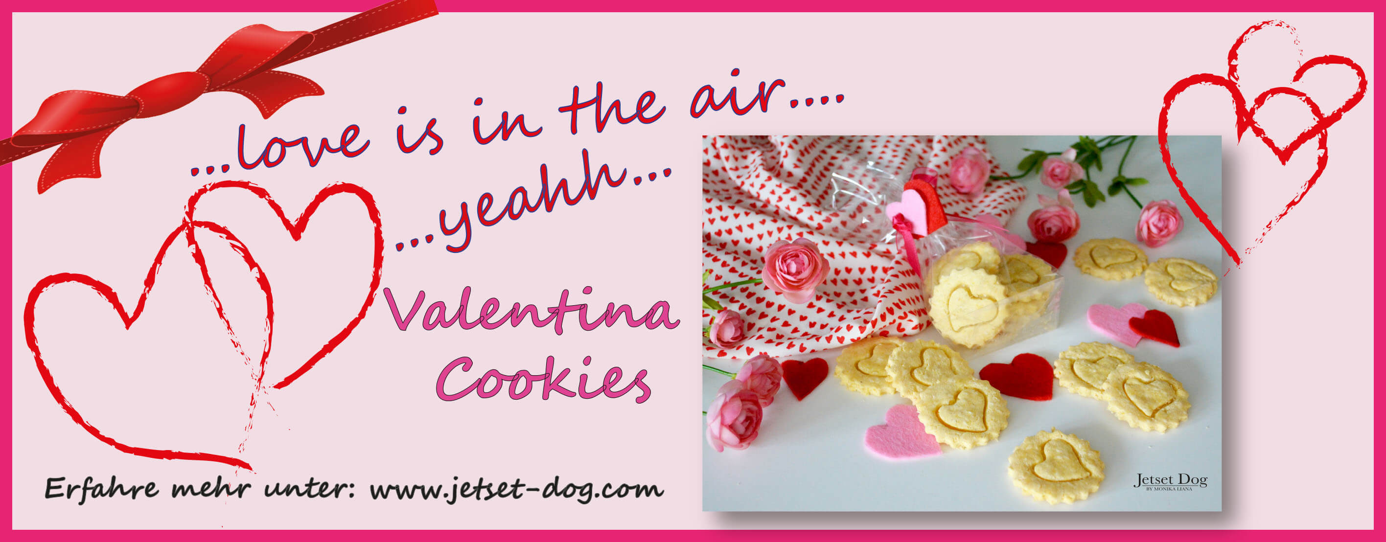 jetsetdogvalentinstag