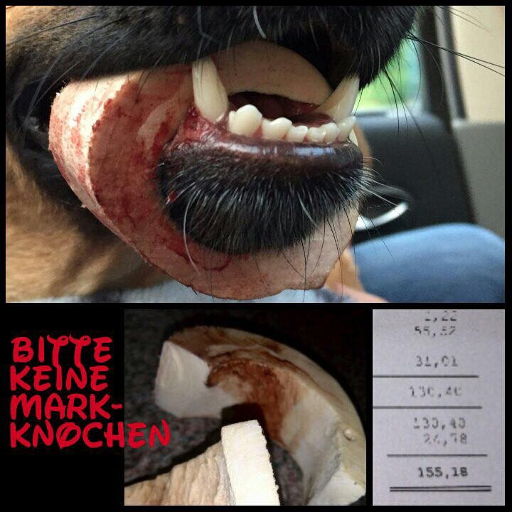Warnung Markknochen