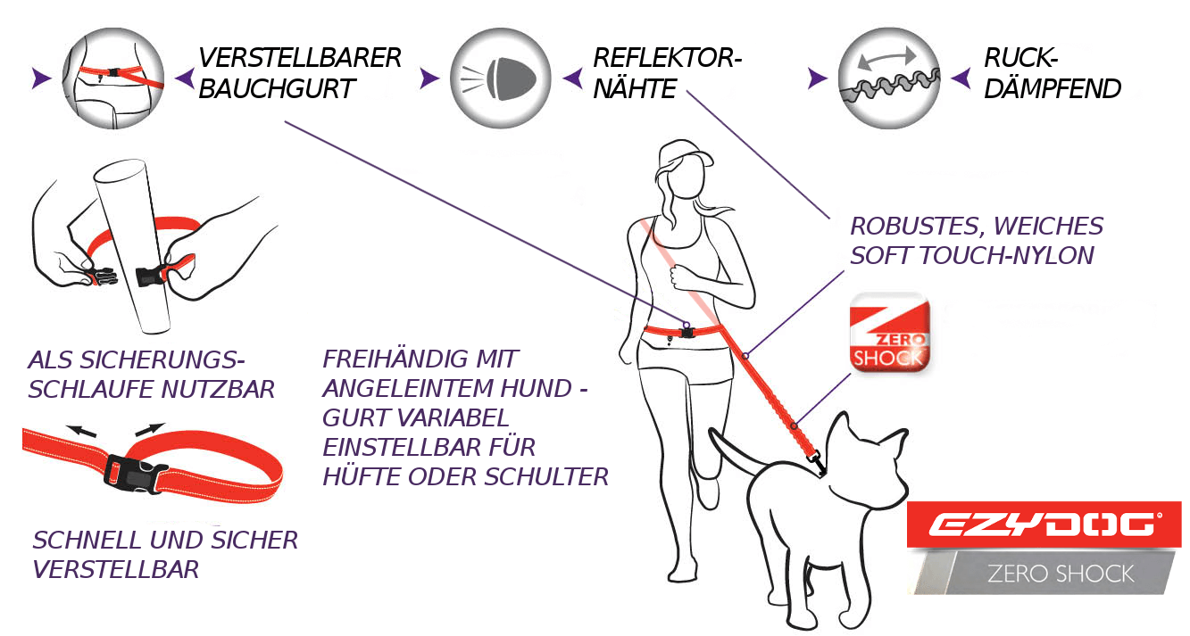 road runner dog diagram landscape web 1
