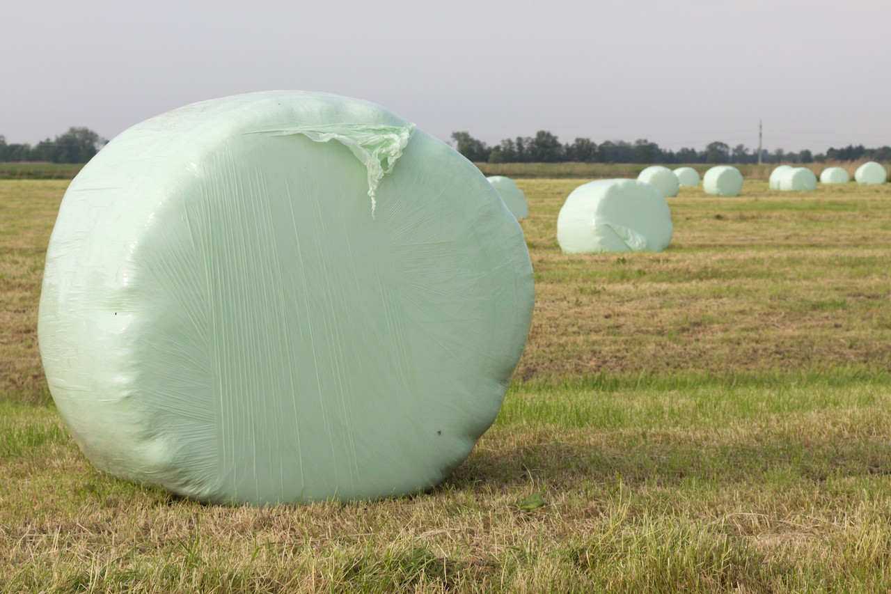 silageballen