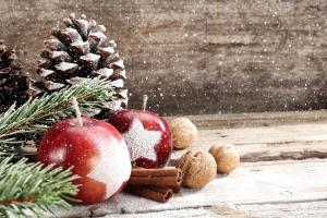 Mila´s und Kaddie´s Weihnachtsgruß