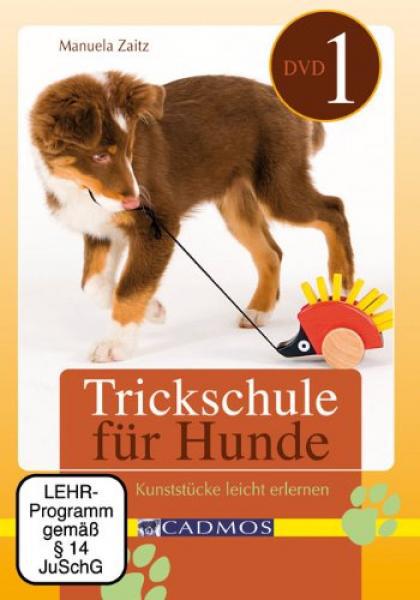 Trickschule für Hunde I