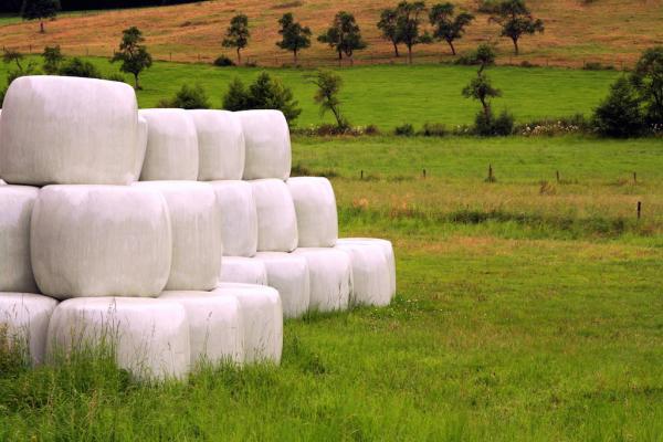 Silageballen sind kein Fotoatelier!