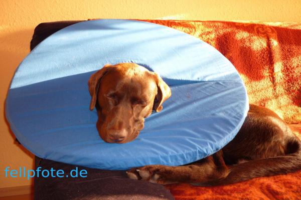 Leckschutz - mal anders!