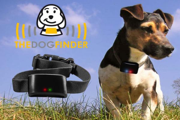 Der Dogfinder im Livetest!