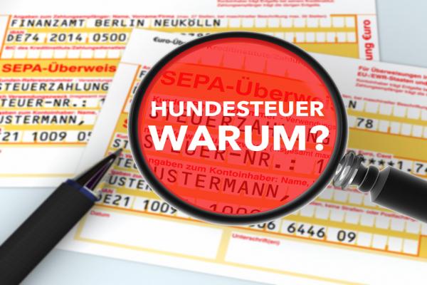 Was ist die Hundesteuer - und wofür wird sie genutzt?