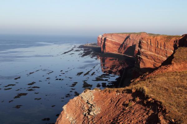 Helgoland Tour - Kegelrobben mit Daniela Drews Fotografie