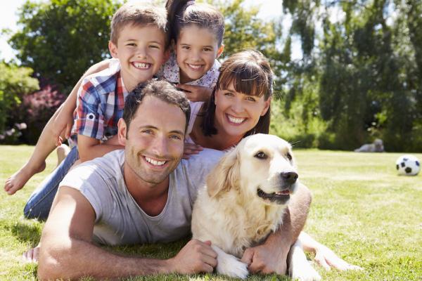 Dog & Child - Das Hunde ABC für Kinder