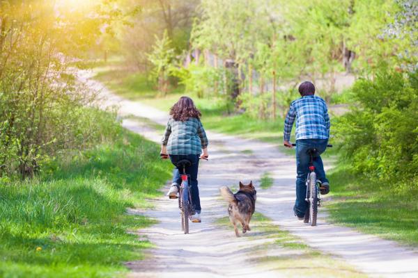 Fahrradfahren mit Hund