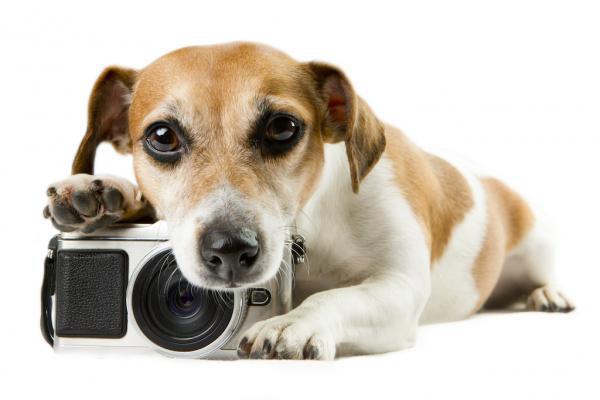 Fotoshooting - Unser erstes Mal...