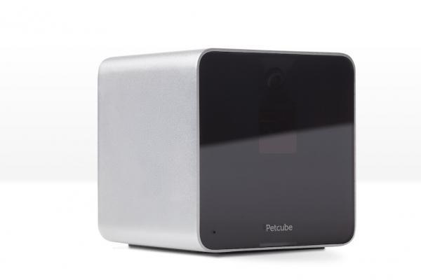 Petcube - Die Fellnase auch von unterwegs im Blick