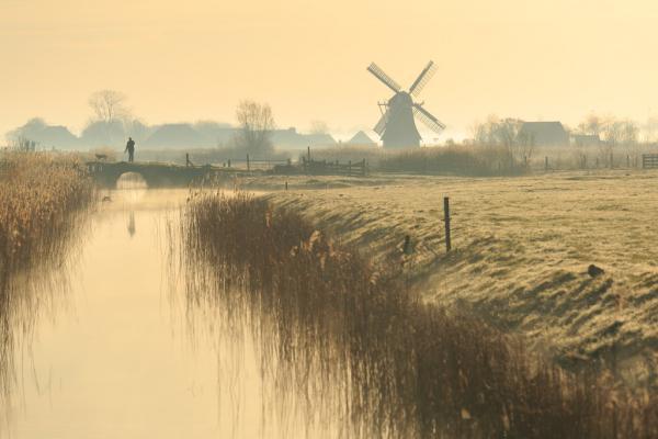 Urlaub mit Hund in Holland