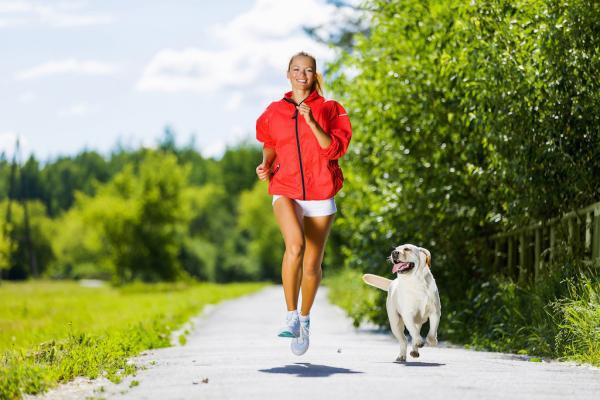 Fit-mit-Hund