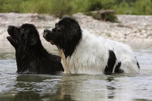 Wasserarbeit
