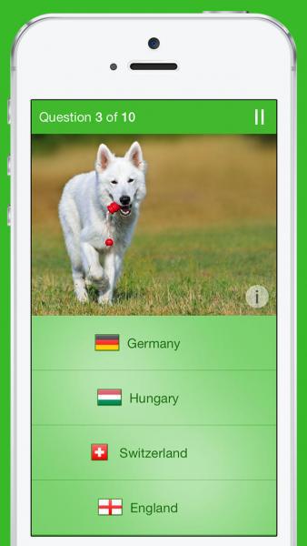 I Know Dogs Quiz