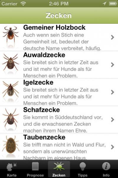 Zeckenwetter