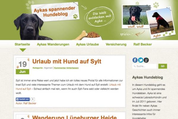 Aykas Hundeblog