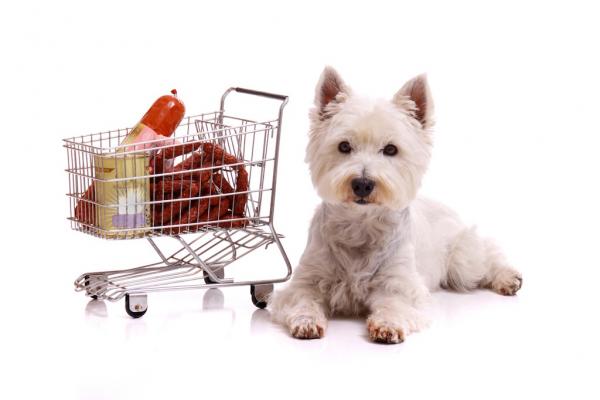 Hund & Schönes
