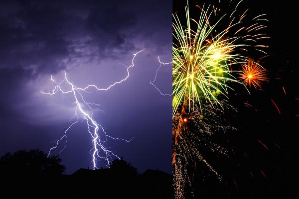 Angst bei Knallern und Gewitter - Was tun?!?