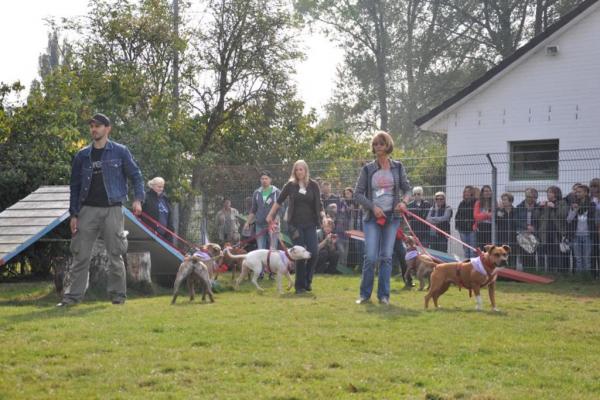 HTV Fest im Oktober 2014 
