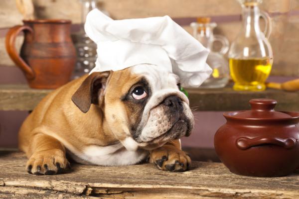 Hundekekse a la Ilona 