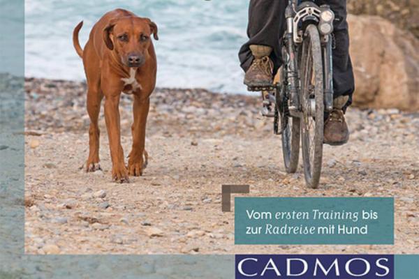 Mit Hund und Fahrrad unterwegs - Gemeinsam auf Tour