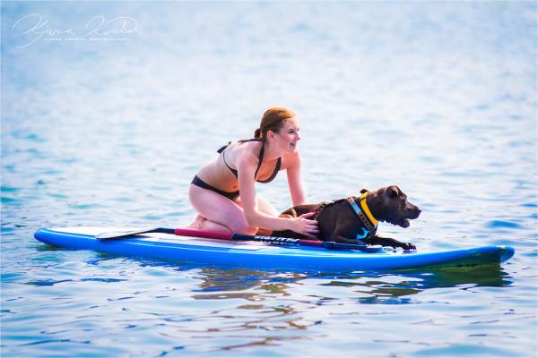 Gemeinsam aufs Brett - SUP mit Hund