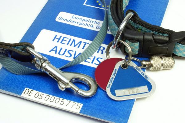 Impfspezial - Top Ten Thesen zum Thema Impfen bei Hunden, Teil 4