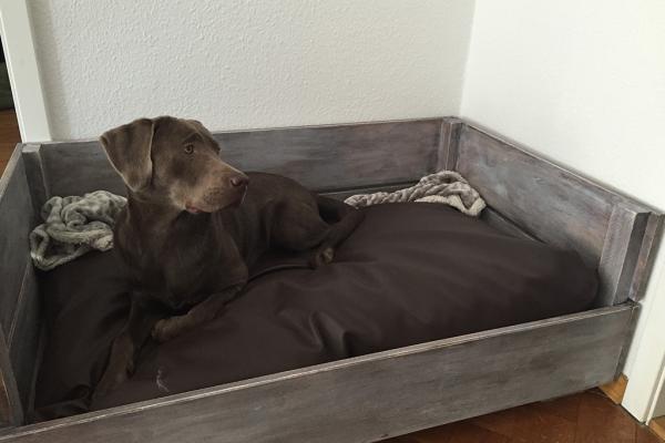 Hundebett a la Linda