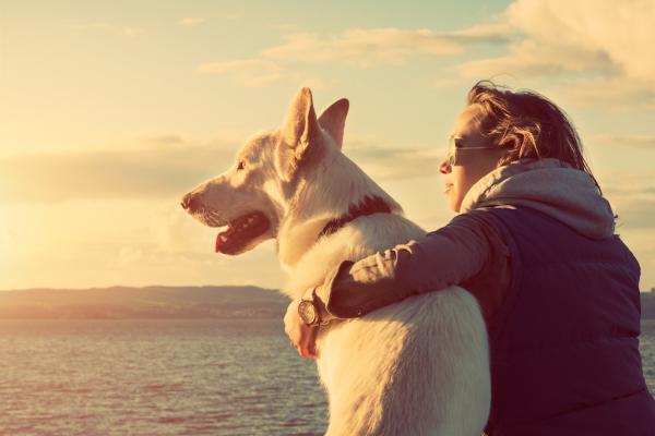Mehr als nur ein Hund...