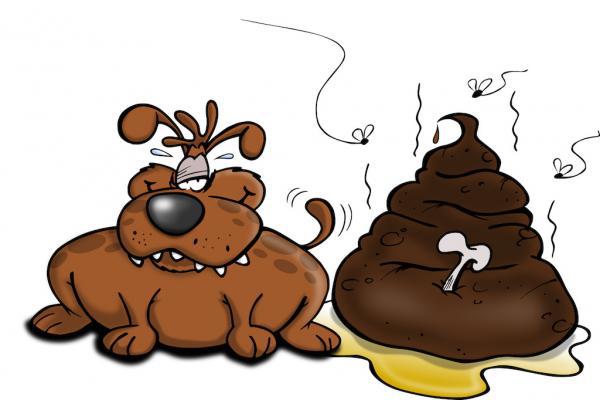 Warum fressen Hunde Kot?