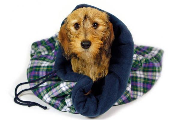 Kuschelsack by Hamburger Hund