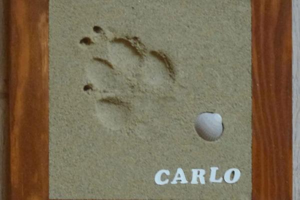 Sand-Pfotenabdruck von deiner Fellnase
