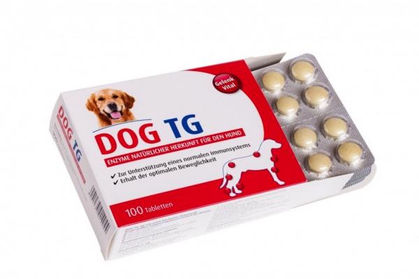 Dog TG im Test - Bewegung macht wieder Spaß