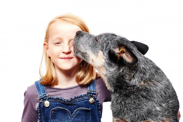 Warum lecken Hunde uns Menschen ab?