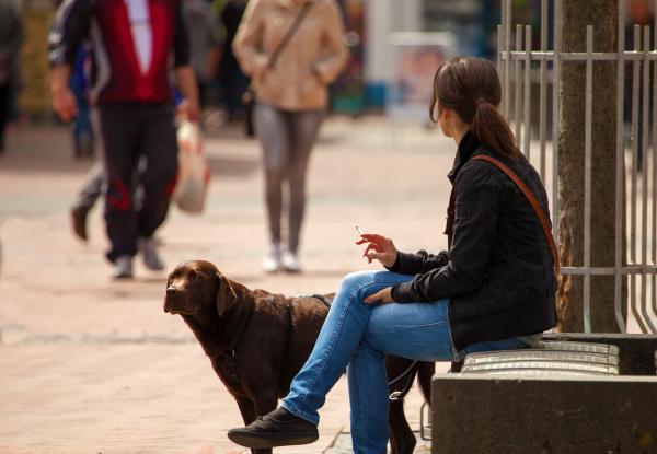 Passivrauchen schadet auch Hunden...