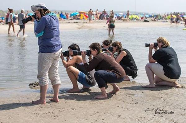 Fotos machen - leicht gemacht!