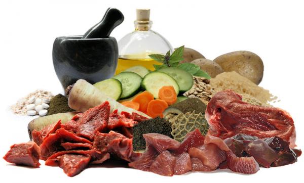 Futter selbst zubereiten oder doch lieber Fertigfutter geben?