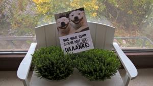 Kuscheliger Winterurlaub mit Hund(en)