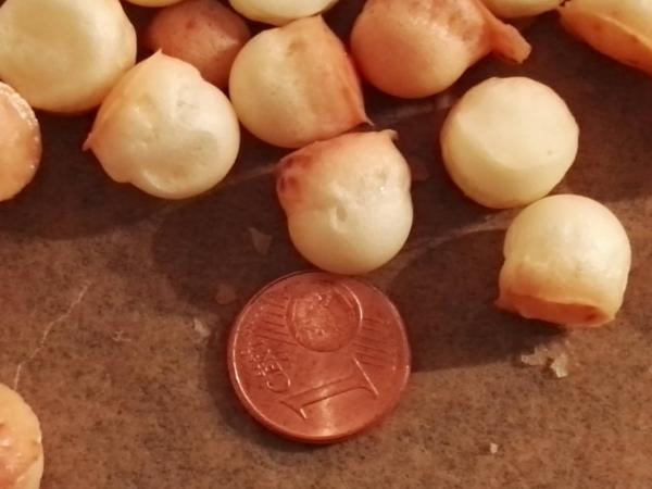 Käse-Kracher & Thunfisch-Knaller - Rezept für Hundeleckerlies