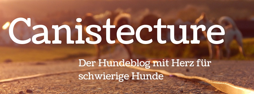 Logo Canistecture Blog