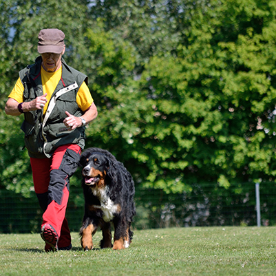 Hundeschule Bickendorf 