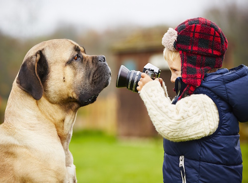 Tierfotografie & Tierportraits