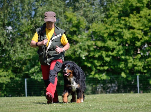 Hundeschulen, Trainer & Co. 