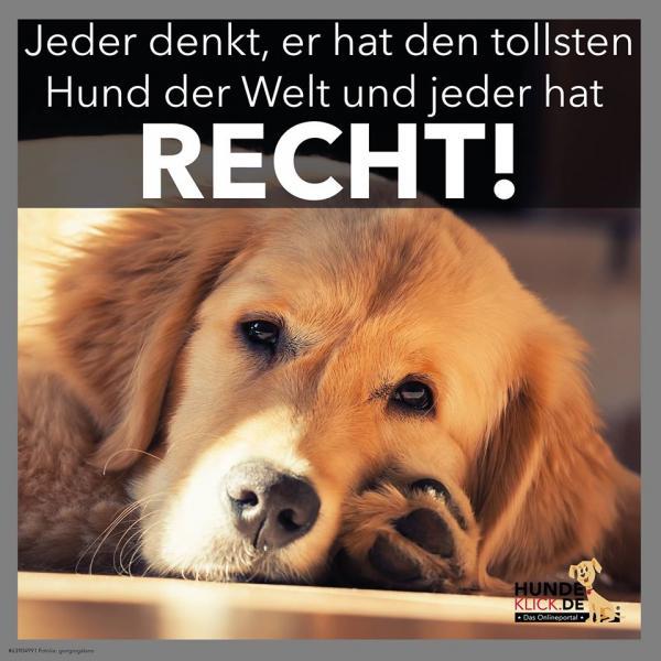 JEDER DENKT, ER HAT...