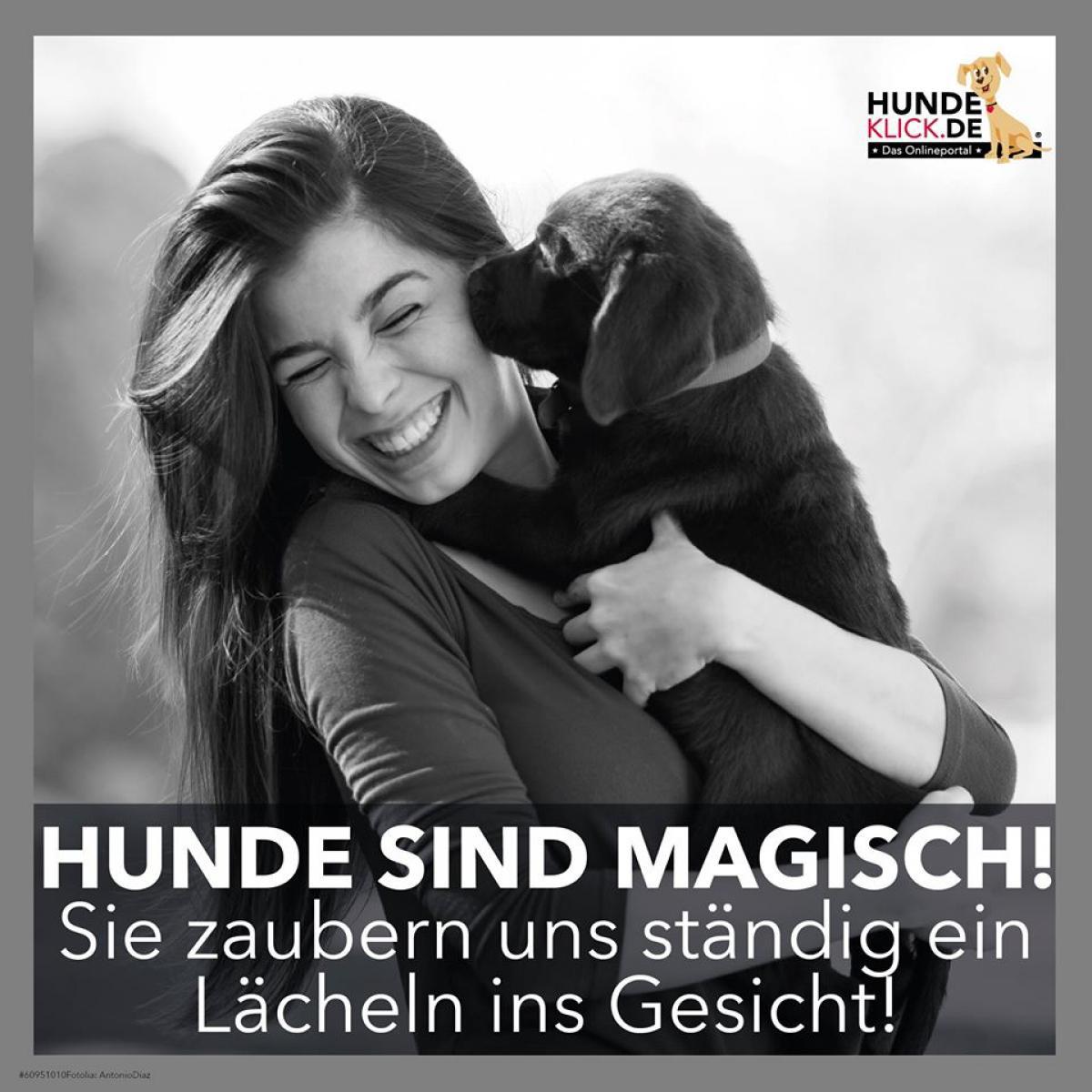 HUNDE SIND MAGISCH...