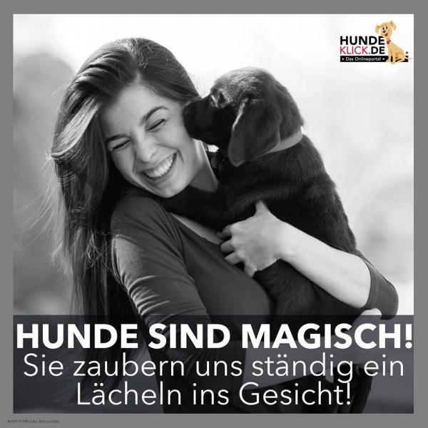 HUNDE SIND MAGISCH...